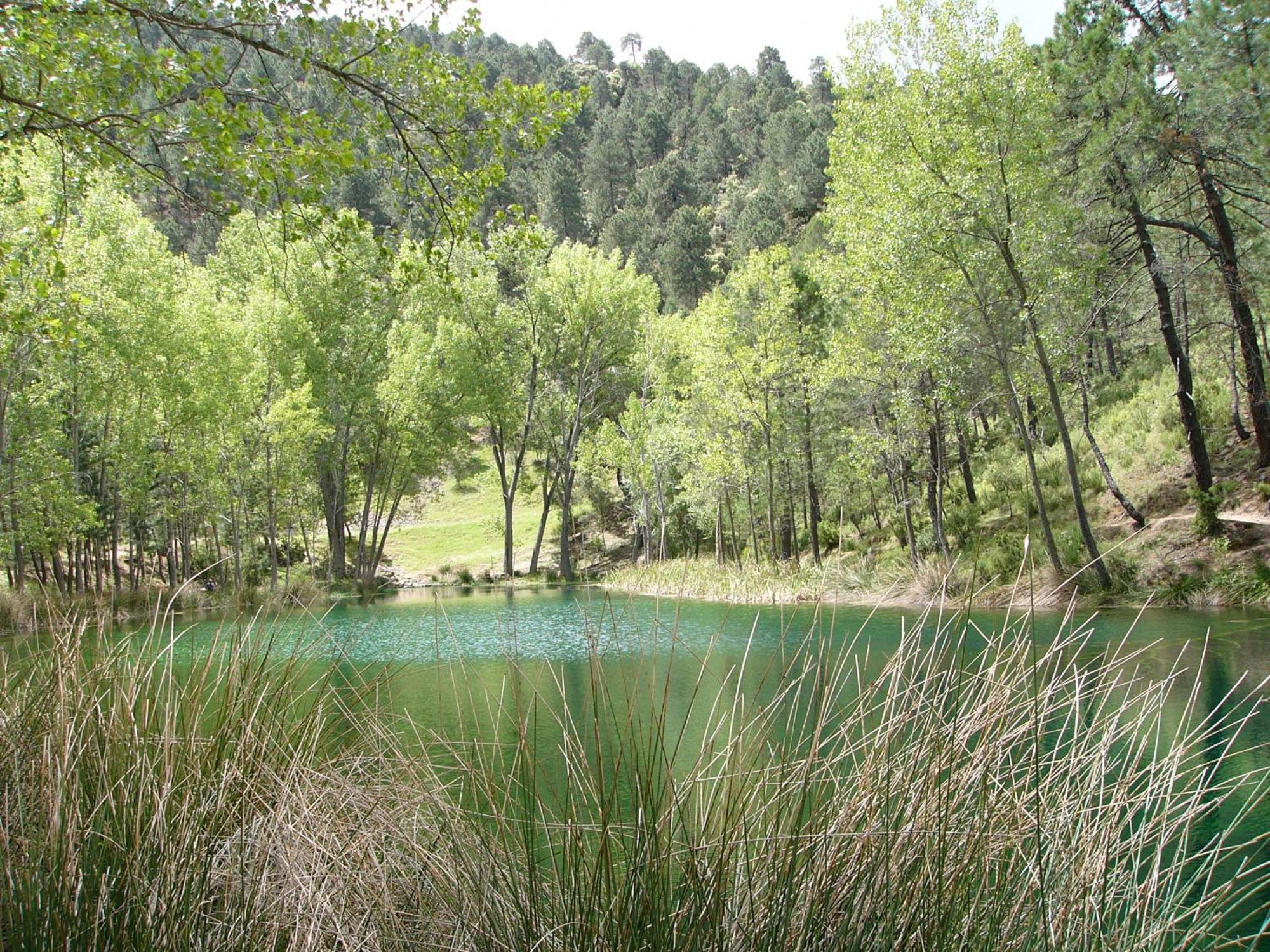 Villaverde De Guadalimar El Enebroヴィラ エクステリア 写真